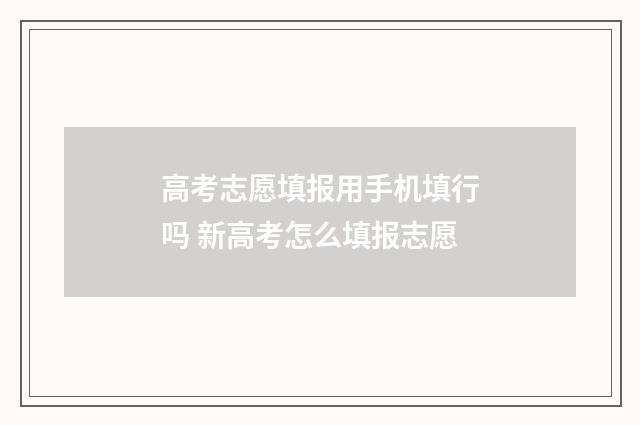 高考志愿填报用手机填行吗 新高考怎么填报志愿