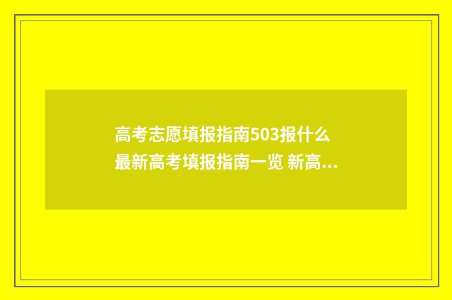 高考志愿填报指南503报什么 最新高考填报指南一览 新高考怎样填报志愿