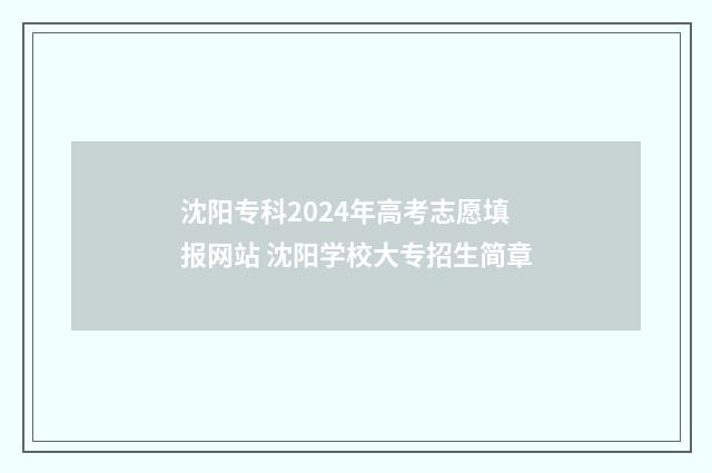 沈阳专科2024年高考志愿填报网站 沈阳学校大专招生简章
