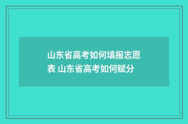 山东省高考如何填报志愿表 山东省高考如何赋分