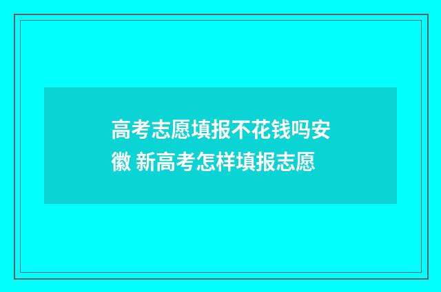 高考志愿填报不花钱吗安徽 新高考怎样填报志愿