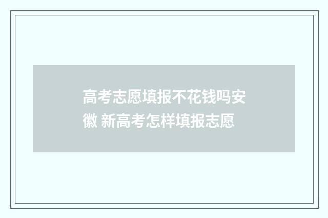 高考志愿填报不花钱吗安徽 新高考怎样填报志愿