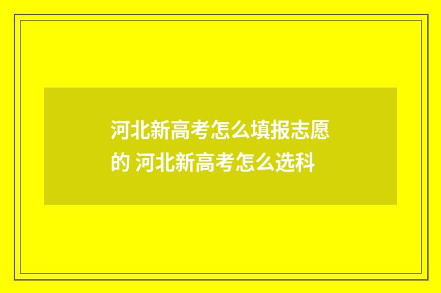 河北新高考怎么填报志愿的 河北新高考怎么选科