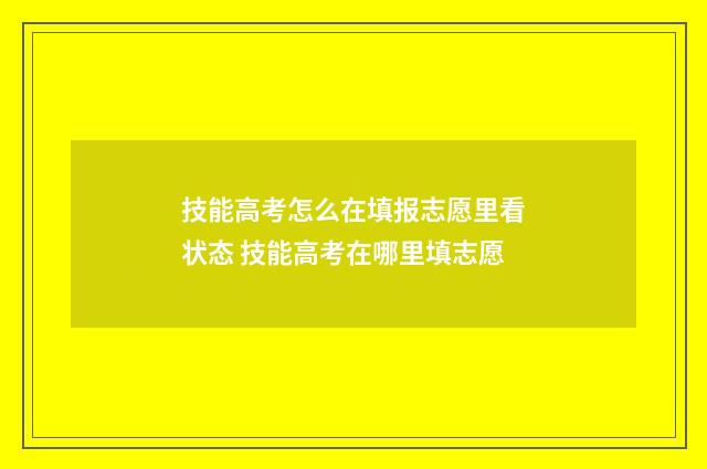 技能高考怎么在填报志愿里看状态 技能高考在哪里填志愿