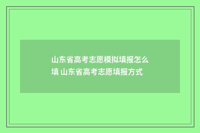 山东省高考志愿模拟填报怎么填 山东省高考志愿填报方式