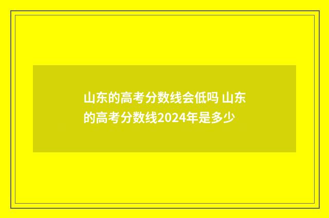 山东的高考分数线会低吗 山东的高考分数线2024年是多少