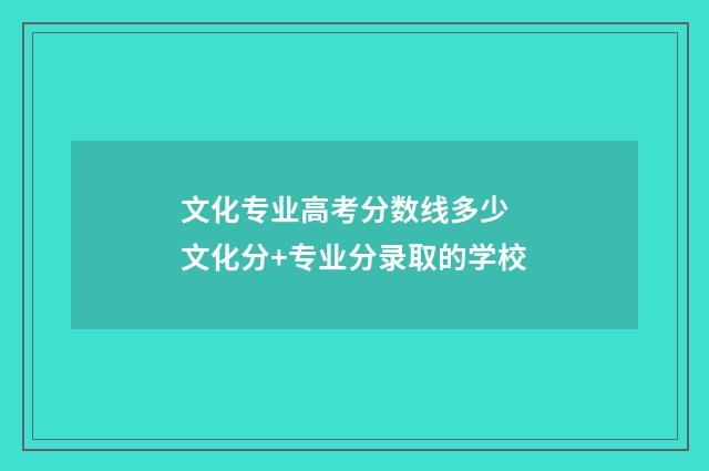 文化专业高考分数线多少 文化分+专业分录取的学校
