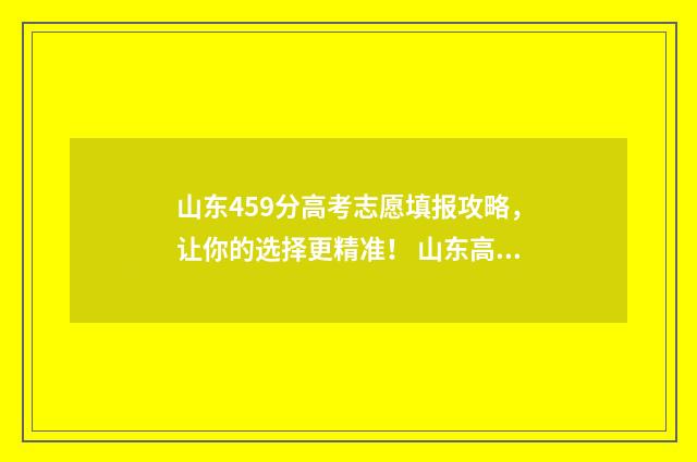 山东459分高考志愿填报攻略,让你的选择更精准! 山东高考452分