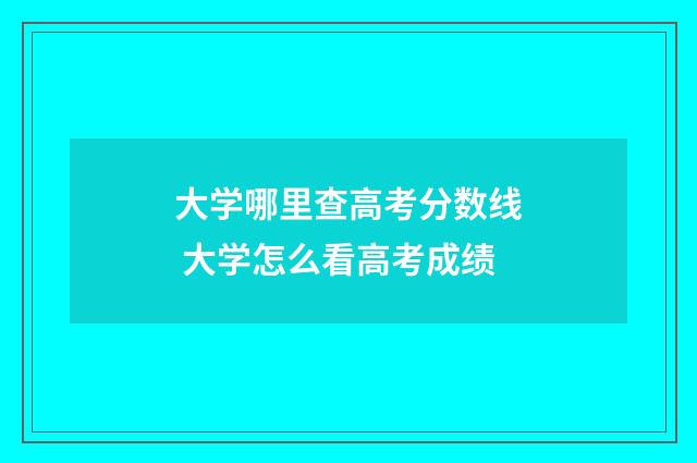 大学哪里查高考分数线 大学怎么看高考成绩