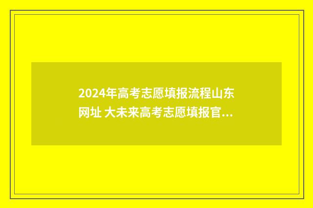 2024年高考志愿填报流程山东网址 大未来高考志愿填报官网