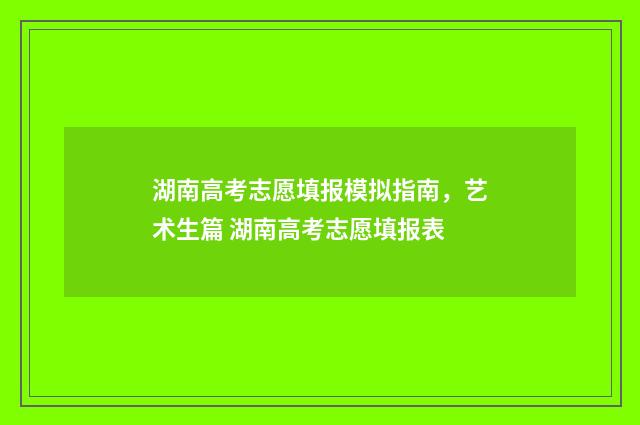 湖南高考志愿填报模拟指南，艺术生篇 湖南高考志愿填报表