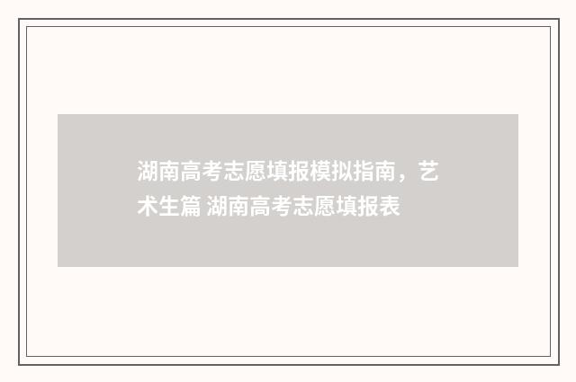 湖南高考志愿填报模拟指南，艺术生篇 湖南高考志愿填报表