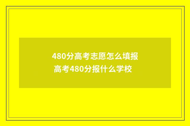 480分高考志愿怎么填报 高考480分报什么学校