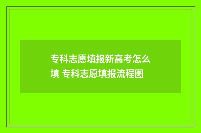 专科志愿填报新高考怎么填 专科志愿填报流程图