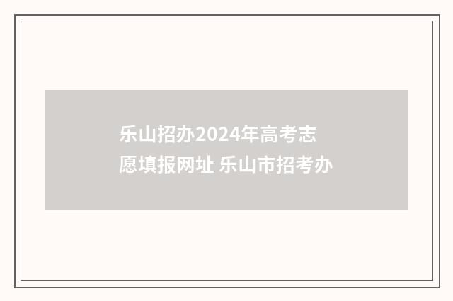 乐山招办2024年高考志愿填报网址 乐山市招考办