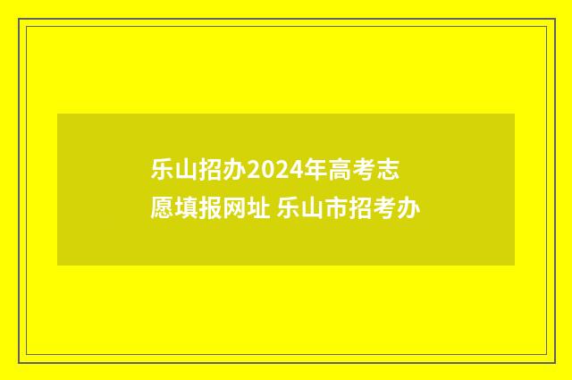 乐山招办2024年高考志愿填报网址 乐山市招考办