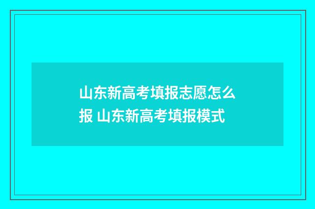 山东新高考填报志愿怎么报 山东新高考填报模式