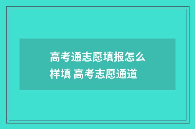 高考通志愿填报怎么样填 高考志愿通道