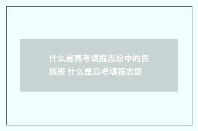 什么是高考填报志愿中的民族班 什么是高考填报志愿