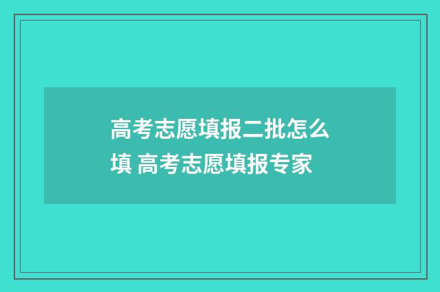 高考志愿填报二批怎么填 高考志愿填报专家