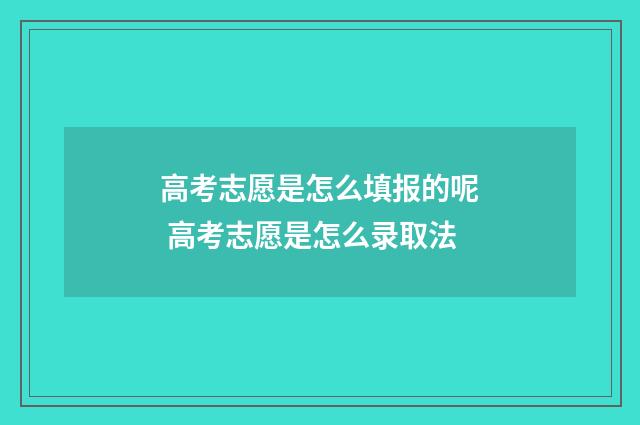 高考志愿是怎么填报的呢 高考志愿是怎么录取法