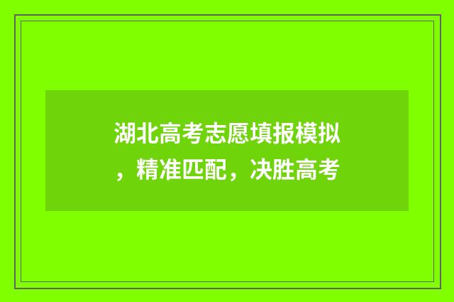 湖北高考志愿填报模拟，精准匹配，决胜高考