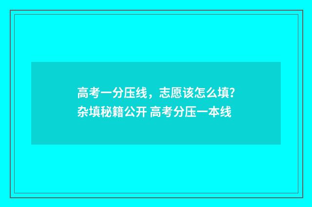 高考一分压线，志愿该怎么填？杂填秘籍公开 高考分压一本线