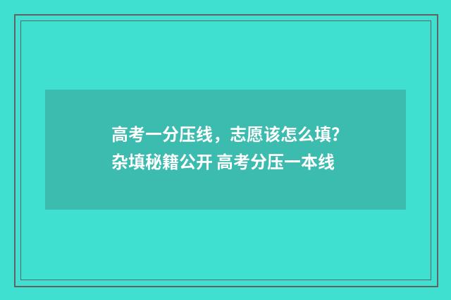 高考一分压线，志愿该怎么填？杂填秘籍公开 高考分压一本线