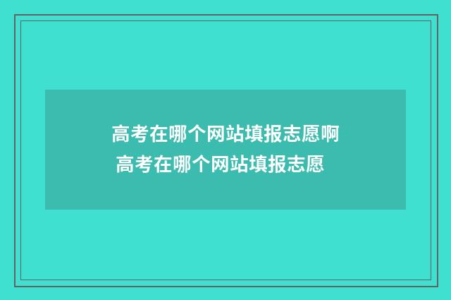 高考在哪个网站填报志愿啊 高考在哪个网站填报志愿