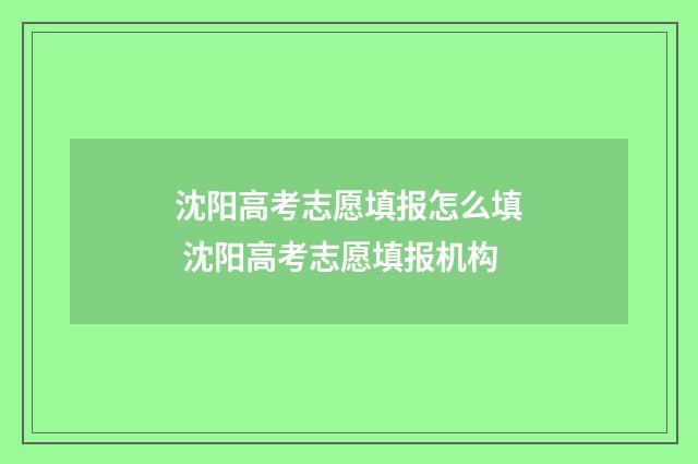沈阳高考志愿填报怎么填 沈阳高考志愿填报机构