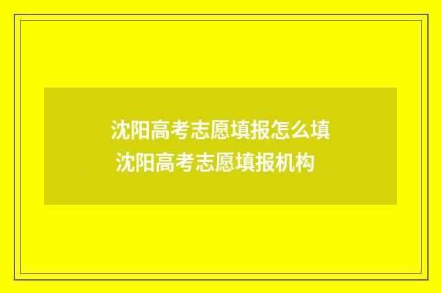 沈阳高考志愿填报怎么填 沈阳高考志愿填报机构