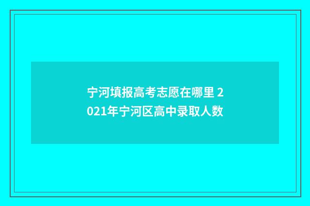 宁河填报高考志愿在哪里 2021年宁河区高中录取人数
