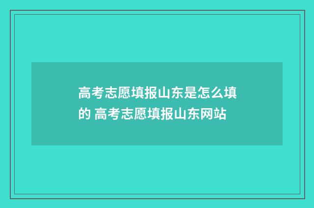 高考志愿填报山东是怎么填的 高考志愿填报山东网站