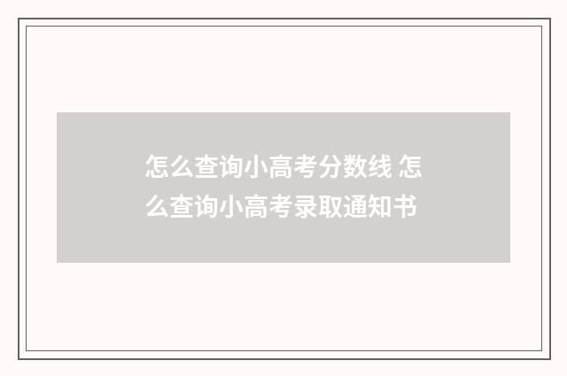 怎么查询小高考分数线 怎么查询小高考录取通知书