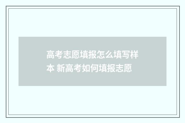 高考志愿填报怎么填写样本 新高考如何填报志愿