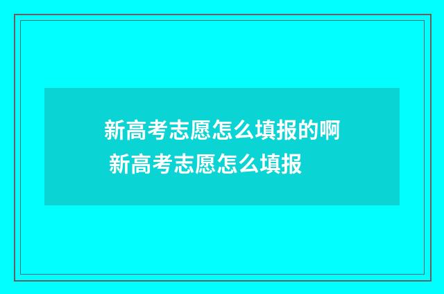 新高考志愿怎么填报的啊 新高考志愿怎么填报