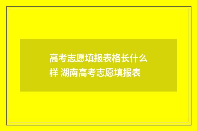 高考志愿填报表格长什么样 湖南高考志愿填报表