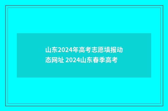 山东2024年高考志愿填报动态网址 2024山东春季高考