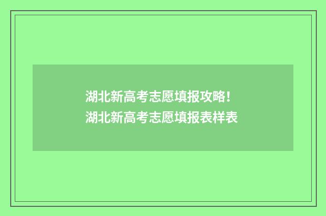 湖北新高考志愿填报攻略！ 湖北新高考志愿填报表样表