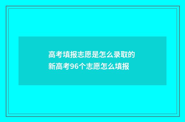 高考填报志愿是怎么录取的 新高考96个志愿怎么填报