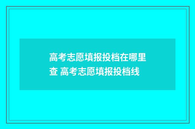 高考志愿填报投档在哪里查 高考志愿填报投档线