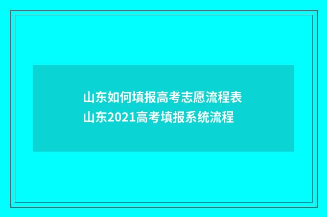 山东如何填报高考志愿流程表 山东2021高考填报系统流程