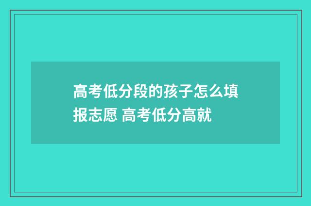 高考低分段的孩子怎么填报志愿 高考低分高就