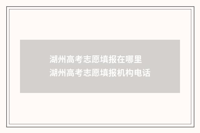 湖州高考志愿填报在哪里 湖州高考志愿填报机构电话