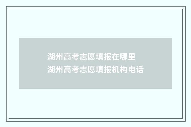 湖州高考志愿填报在哪里 湖州高考志愿填报机构电话