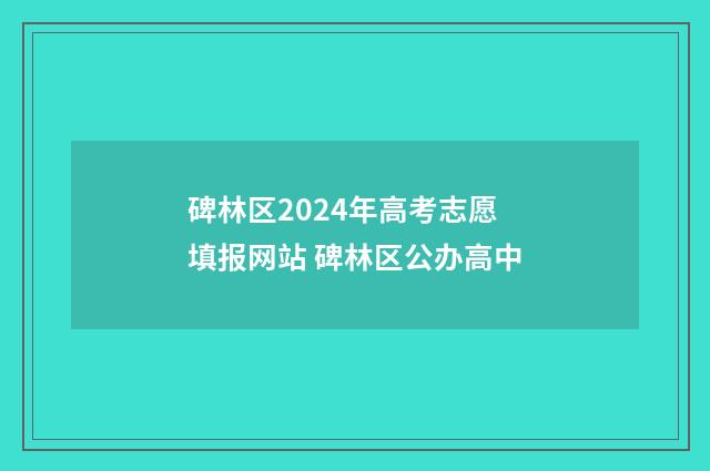 碑林区2024年高考志愿填报网站 碑林区公办高中