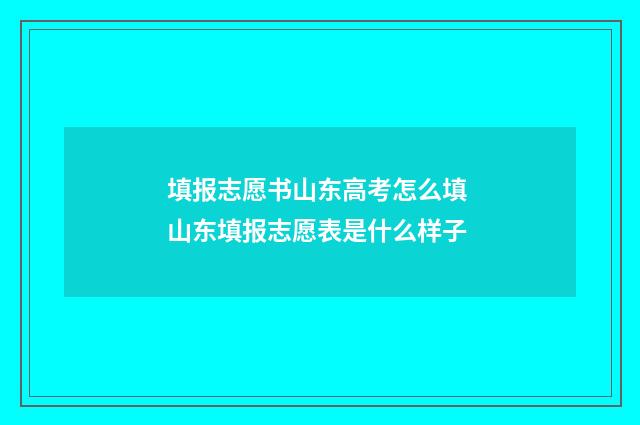填报志愿书山东高考怎么填 山东填报志愿表是什么样子