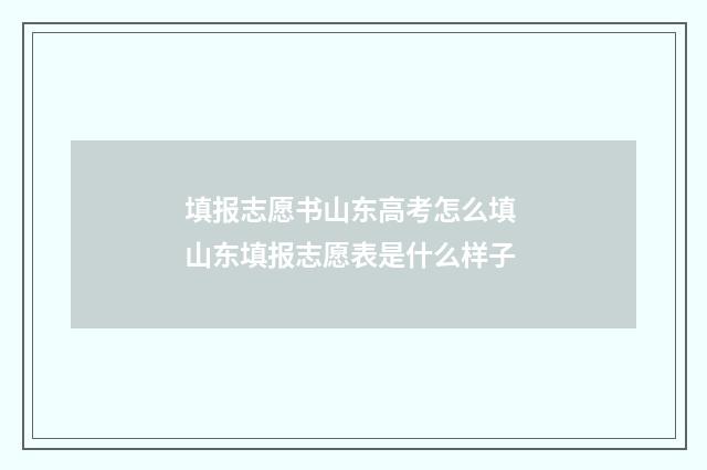 填报志愿书山东高考怎么填 山东填报志愿表是什么样子
