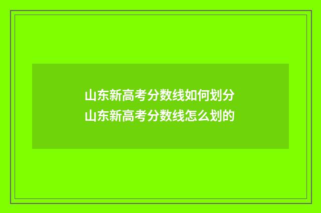 山东新高考分数线如何划分 山东新高考分数线怎么划的