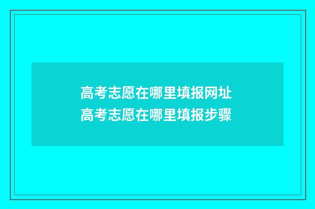 高考志愿在哪里填报网址 高考志愿在哪里填报步骤